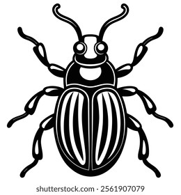 weevil insect flat vector illustration on white background