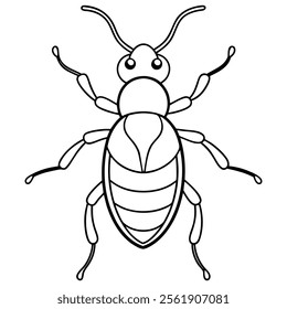 weevil insect flat vector illustration on white background