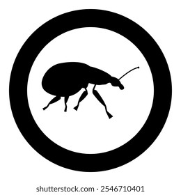 Weevil insect pest icon in circle round black color vector illustration image solid outline style