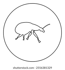 Weevil insect pest icon in circle round black color vector illustration image outline contour line thin style