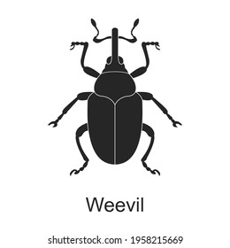 Weevil vector black icon. Vector illustration pest insect weevil on white background. Isolated black illustration icon of pest insect.