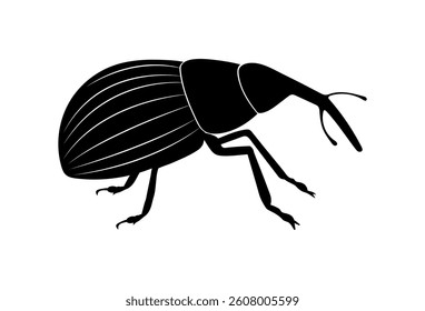 Weevil. Vector illustration of insect pests on white background. Isolated black icon.