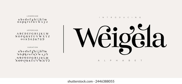 Weigela elegant Font Uppercase Lowercase and Number. Classic Lettering Minimal Fashion Designs. Typography modern serif fonts regular decorative vintage concept. vector illustration