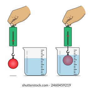 Pesar la masa de un objeto en el agua utilizando un equilibrio de resorte.