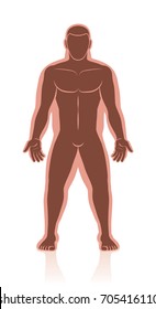 Weight loss - before after image of normal weight and overweight in comparison of a mans body with and without fat deposits - isolated vector illustration.