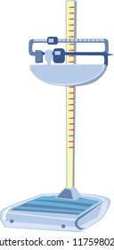 weight measurement scale