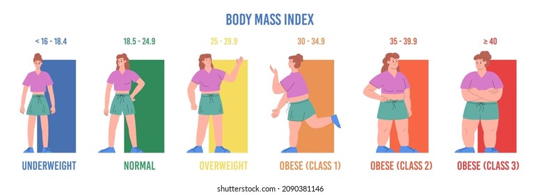 Weight norm and BMI scale infographic, flat cartoon vector illustration isolated on white background. Body mass index measurement with female characters.