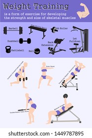 Weight Training Exercise to Build Muscles