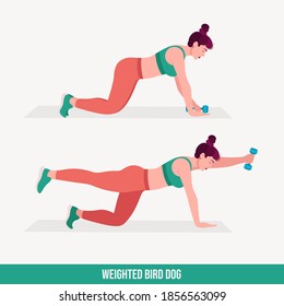 Weighted Bird Dog exercise, Woman workout fitness, aerobic and exercises. Vector Illustration.