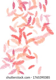Las plumas rosadas sin peso de flamingo se funden con el fondo vectorial. Ornamento indio nativo de plumelet suave. Diseño vectorial suave de elementos de plumas que caen. Arte de la línea boho del ala de pájaro.