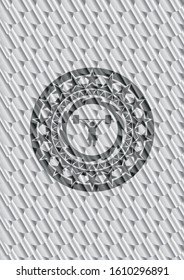 weightlifter girl icon inside silver shiny emblem. Scales pattern. Vector Illustration. Detailed.