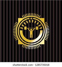 weightlifting icon inside gold emblem or badge