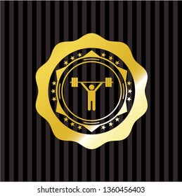 weightlifting icon inside gold emblem or badge