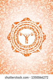 weightlifting icon inside orange mosaic emblem