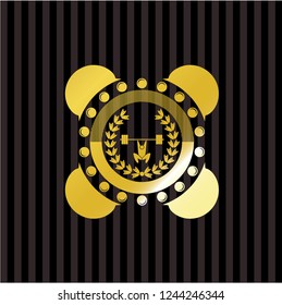 weightlifting inside of crown icon inside gold badge or emblem