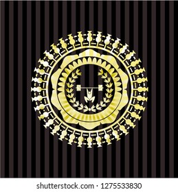 weightlifting inside of crown icon inside golden emblem or badge