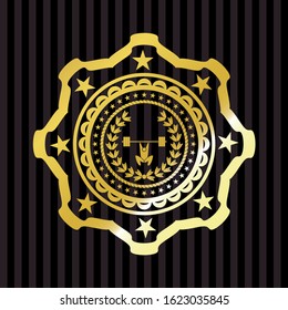weightlifting inside of crown icon inside golden emblem