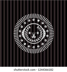 weightlifting inside of crown icon inside silvery emblem or badge