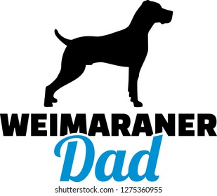 Weimaraner dad in blue with face