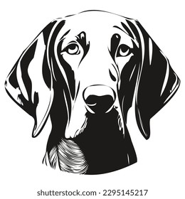 Logo del vector blanco y negro del perro Weimaraner, ilustración de mascotas vectoriales dibujadas a mano del arte de la línea
