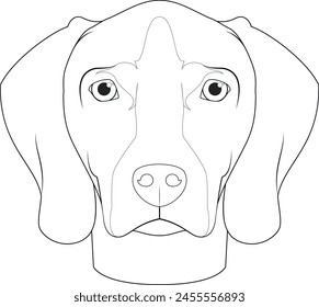 Weimaraner dog easy coloring cartoon vector illustration. Isolated on white background