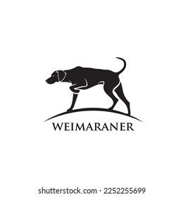 Perro Weimaraner - ilustración vectorial aislada