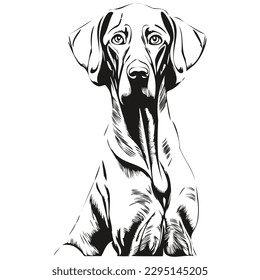 Weimaraner línea de perro dibujo manual logotipo de vectores de mascotas blanco y negro
