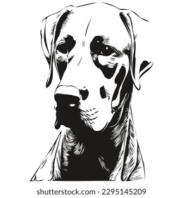 Weimaraner línea de perro dibujo manual logotipo de vectores de mascotas blanco y negro
