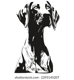 Logo de Weimaraner perro línea dibujada a mano vectorial dibujar ilustración de mascotas en blanco y negro
