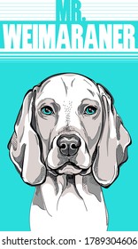 
Cartel de perro de Weimaraner. Imagen elegante para imprimir en cualquier superficie