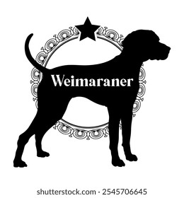 Weimaraner silueta de perro, perro, razas de perro, Vector, silueta, diseño de logotipo, animal, ilustración, icono, signo, negro, mascota