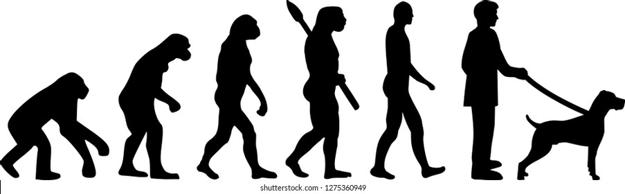 Weimaraner evolution with dog silhouette