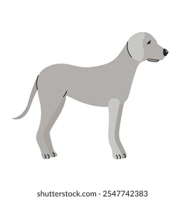 Icono de Weimaraner Clipart avatar logotipo aislado ilustración