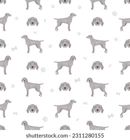 Weimaraner shorthaired dog seamless pattern. All coat colors set.  All dog breeds characteristics infographic. Vector illustration