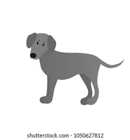 weimaraner vector cartoon dog isolated on white background