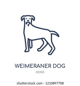 Weimeraner dog icon. Weimeraner dog linear symbol design from Dogs collection. Simple outline element vector illustration on white background.