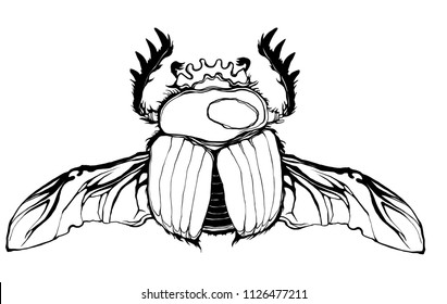 Weird beautiful beetle on white background. Ornate decorated bug outline insect wings. Hand drawn vector illustration. Fantasy, occultism, tattoo art, coloring books, spirituality. Hipster print.