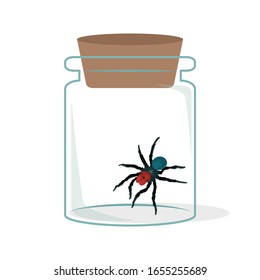 Weird and colorful spider in glass bottle vector illustration isolated on white background. Strange spider vector cartoon. Experimental insect animal in glass bottle.