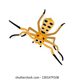 Weird and colorful spider isolated on white background. Spider vector cartoon. 