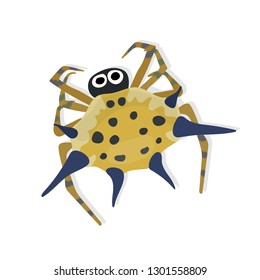 Weird and colorful spider isolated on white background. Spider vector cartoon. 