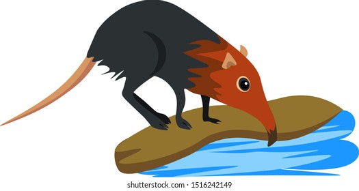 Weird rat, illustration, vector on white background.