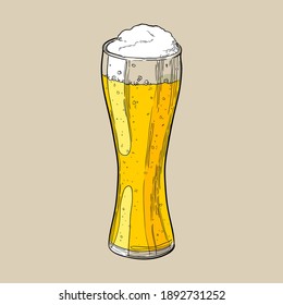 Weizen beer glass. Hand drawn vector multicolor illustration.