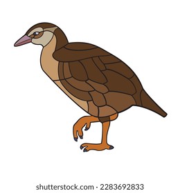 Weka. Vector illustration isolated on white background.
