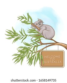 Welcome to Australia poster template with koala and eucalyptus. Colored vector illustration..