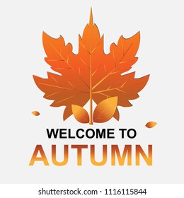 Welcome to autumn