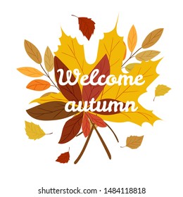 Welcome autumn composition with text, autumn leaves (maple, chestnut, rowan) on white background. Vector illustration