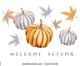 Welcome Autumn design template print with orange, gray pumpkins, maple leaves. Vector Halloween illustration. October harvest background. Organic vegetable garden food. Nature design. Fall season