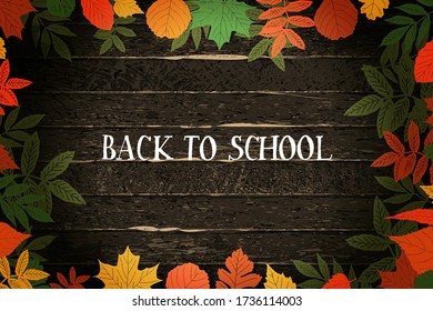 Welcome back to school background with autumn leaves. Template Vector.