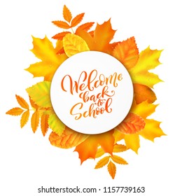 Welcome back to school hand-drawn lettering background decorated with realistic autumn leaves. Vector illustration