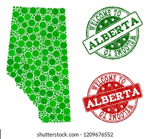 Welcome combination of map of Alberta Province and rubber seals. Vector greeting seals with grunge rubber texture in green and red colors. Welcome flat design for political templates.